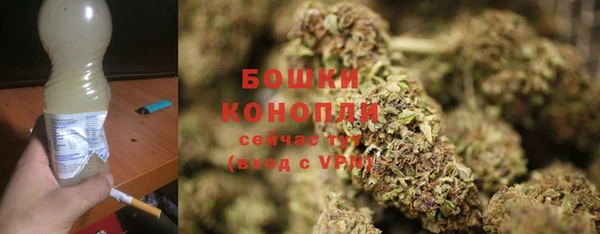 ECSTASY Коряжма