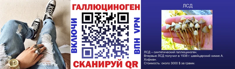 Купить закладки  Балахна  Псилоцибиновые грибы мицелий 